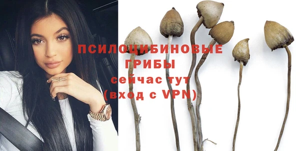 крисы Михайловск