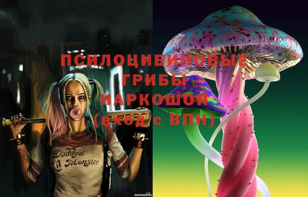 СК Абинск