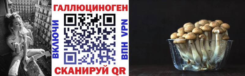 Псилоцибиновые грибы мицелий  где купить наркоту  Сургут 