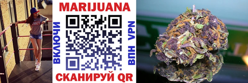 Каннабис OG Kush  Сургут 
